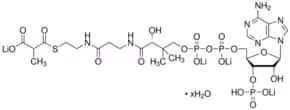 Methylmalonyl coenzyme a lithium 5 mg