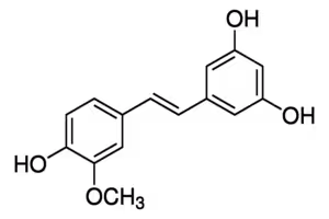 Isorhapontigenin 98% (HPLC), 5 µg