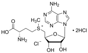 S-(5 -adenosyl)-l-methionine chloride di 25 mg