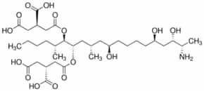 Fumonisin B1 from Fusarium moniliforme 98% (HPLC), 1 µg
