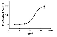 Recombinant Mouse SCF (carrier-free) 10 µg