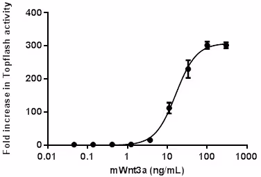 Recombinant Mouse Wnt3a 10 µg