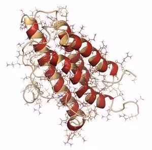 Native protein deglycosylation kit 1 kit