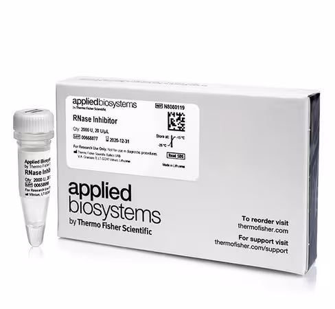 Rnase inhibitor-2,000 units 2000 unités