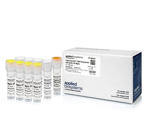 Amplitaq gold dna polymerase with buffer ii and µgcl2-1000 units 1000 unités