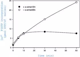 Nuclei isolation kit: nuclei ez prep 1 kit