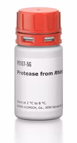 Protease from rhizopus sp 5 g