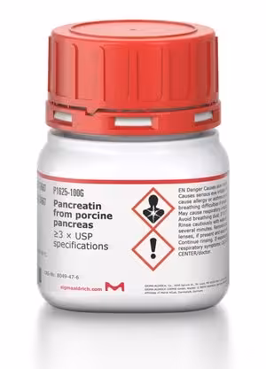 Pancreatin activity at least equivalent 100 g