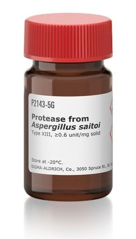 Protease type xiii fungal 5 g