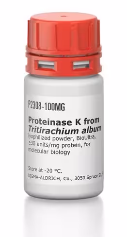 Proteinase k from tritirachium album mol 500 mg