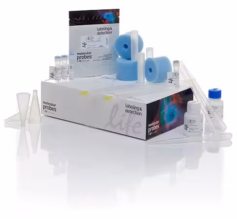 Pacific blue protein labeling kit-1 kit