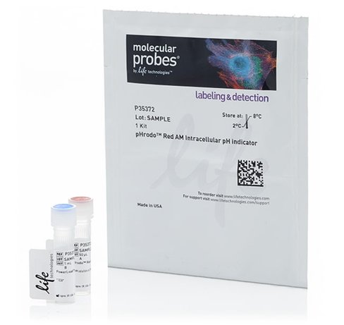 Phrodo red am intracellular ph indicator-50 µL