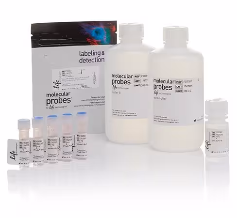 Phrodo green s. aureus bioparticles phagocytosis kit for flow cytometry-1 kit