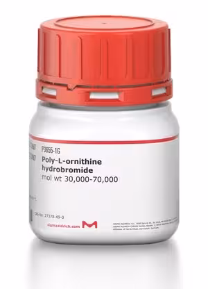 Poly-l-ornithine hydrobromide mw 30,00 50 mg