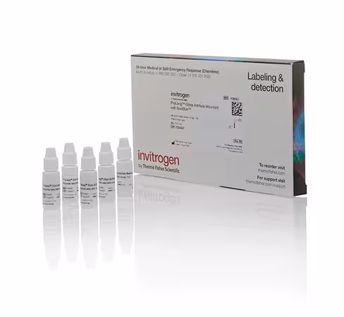 Prolong glass antifade mountant with nucblue stain-5 x 2 ml