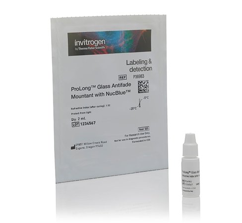 Prolong glass antifade mountant with nucblue stain-2 ml