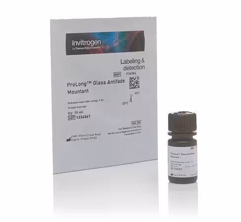 Prolong glass antifade mountant-10 ml