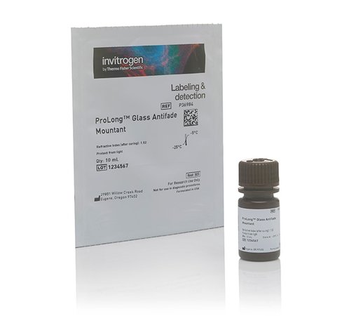 Prolong glass antifade mountant-10 ml