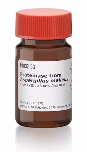 Proteinase from aspergillus melleus 5 g
