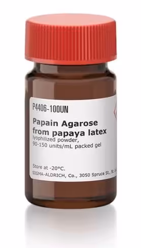 Papain from papaya latex insoluble enzym 50u 50 U
