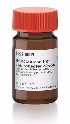 Penicillinase type iv from enterobacter 100 U