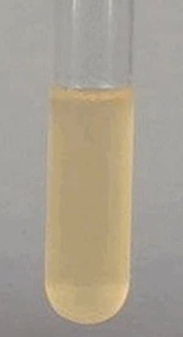 Potato dextrose broth microbiologically 250 g