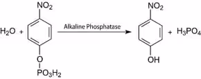 Sigma fast p-nitrophenyl phosphate 5set 5 SET