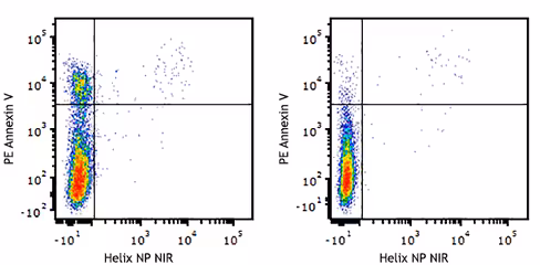 PE Annexin V 300 tests
