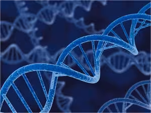 Pet-51b(+) dna 10 µg