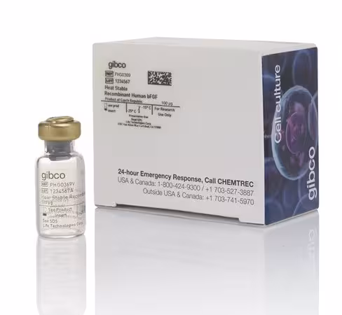 Heat stable recombinant human bfgf-100 µg