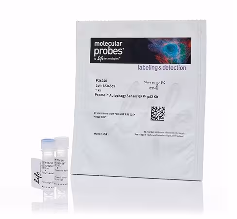 Premo autophagy sensor gfp-p62 kit-1 kit