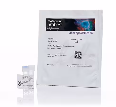 Premo autophagy tandem sensor rfp-gfp-lc3b kit-1 kit