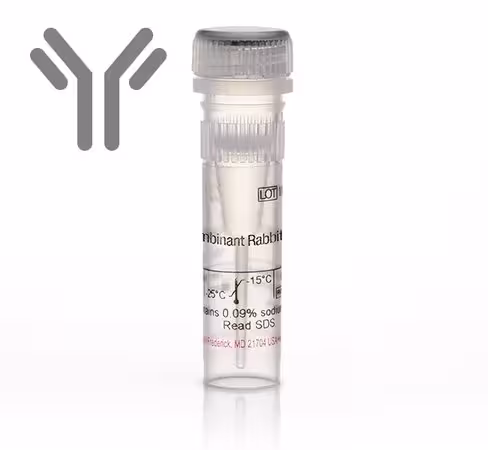 Gapdh monoclonal antibody (6c5)-100 µg