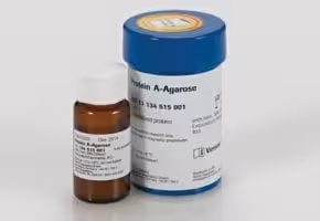 Protein A Agarose sup à 98% (HPLC and SDS-PAGE), suspension , 5 ml