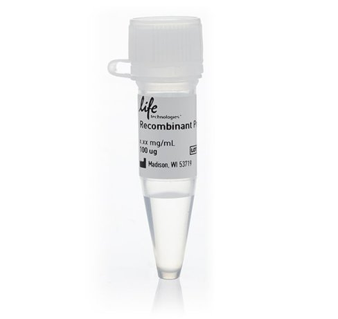 Sik1 recombinant human protein-100 µg