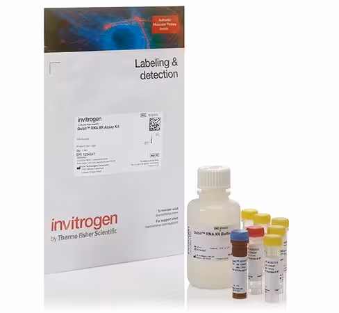 Qubit rna xr assay kit- 100 réactions