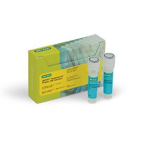 DdPCR Supermix/Probes 200 RXN 2 mL