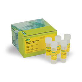 DdPCR Supermix(No dUTP) 2500 RXN 25 mL