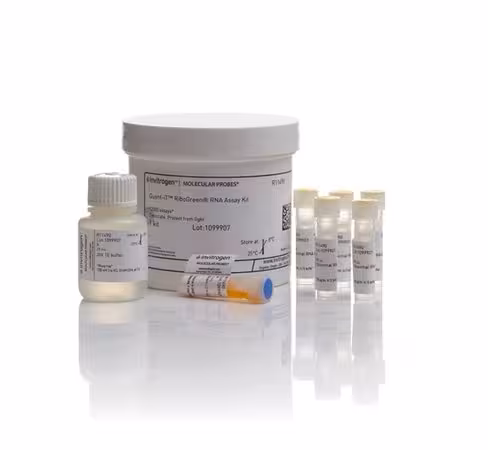 Quant-it ribogreen rna assay kit-1 kit