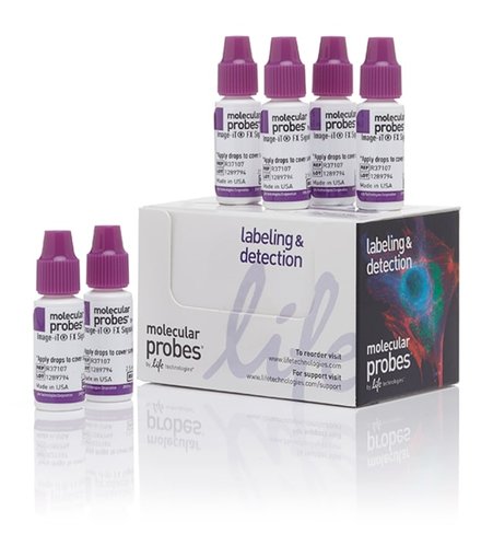 Image-it fx signal enhancer readyprobes reagent-1 kit