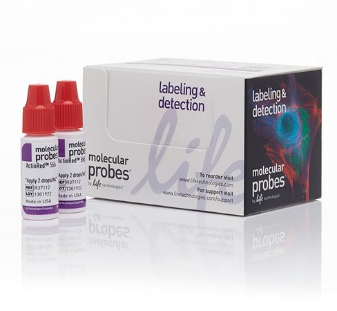 Actinred 555 readyprobes reagent (rhodamine phalloidin)-1 kit