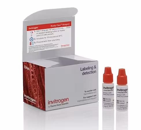 Annexin v apc ready flow conjugate-120 réactions