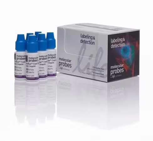 Nucblue fixed cell readyprobes reagent (dapi)-1 kit