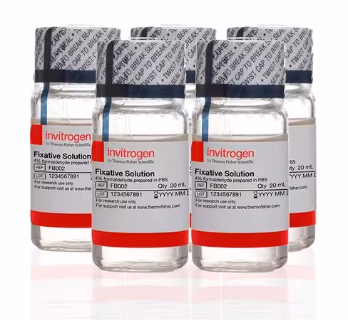 Image-it fixative solution (4% formaldehyde, methanol-free)-5 x 20 ml