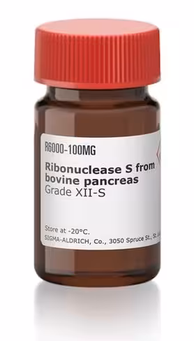 Ribonuclease s from bovine pancreas gra 5 mg