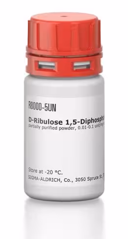 D-ribulose 1,5-diphosphate carboxylase 1u 1 U