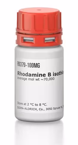 Rhodamine b isothiocyanatedextran 100 mg