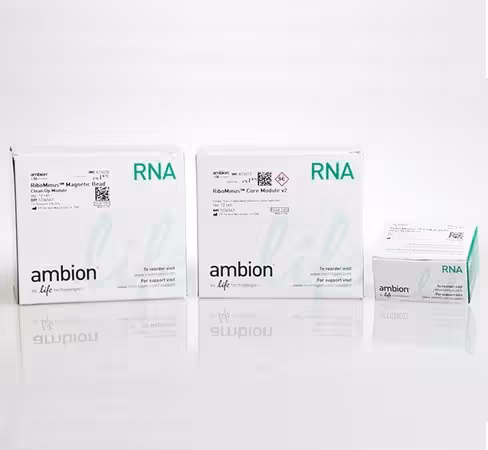 Ribominus eukaryote system v2-12 réactions 12 samples