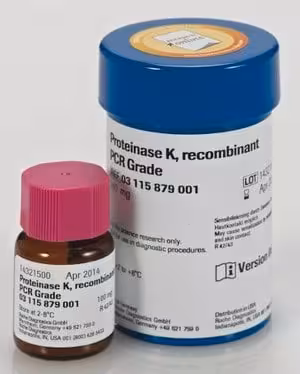 Proteinase K, recombinant, PCR Grade Lyophilizate from Pichia pastoris 100 mg