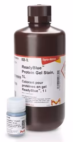 Readyblue protein gel stain 1 L